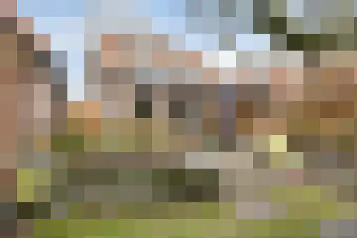 't Voorhuis 14 Veenendaal thumbnail 45