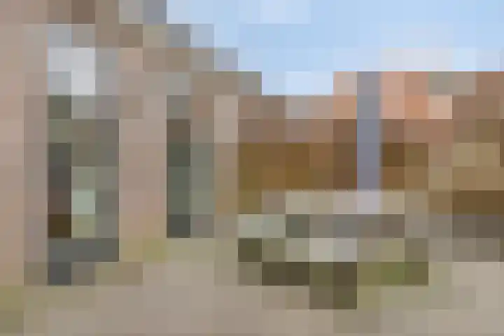 't Voorhuis 14 Veenendaal thumbnail 46