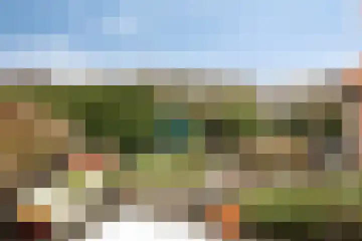 't Voorhuis 14 Veenendaal thumbnail 49