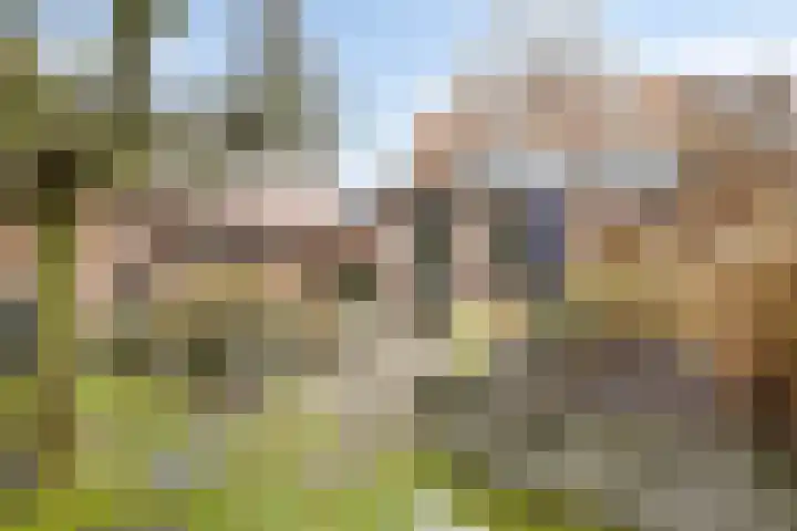 't Voorhuis 14 Veenendaal thumbnail 5