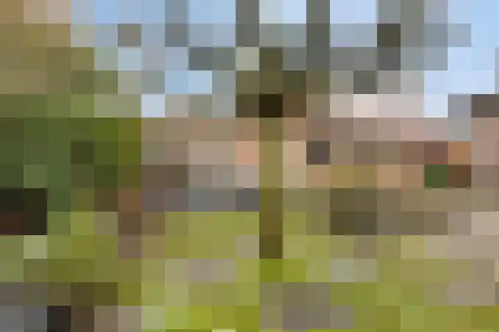 't Voorhuis 14 Veenendaal thumbnail 50