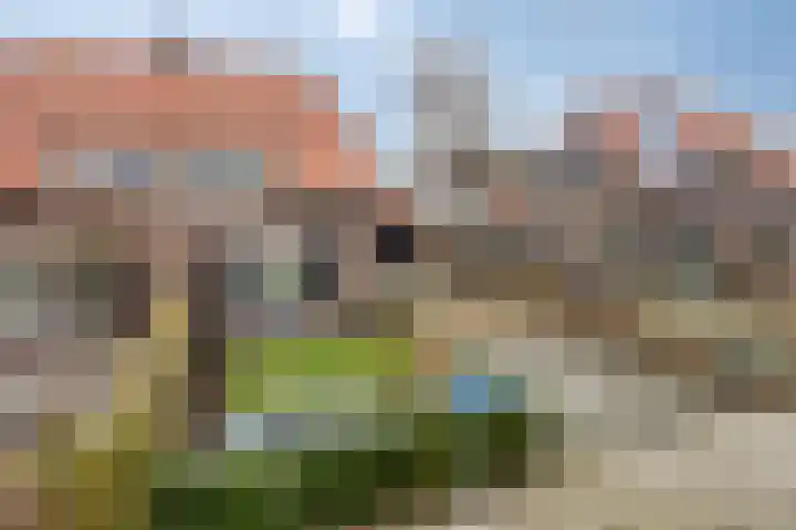 't Voorhuis 14 Veenendaal thumbnail 55