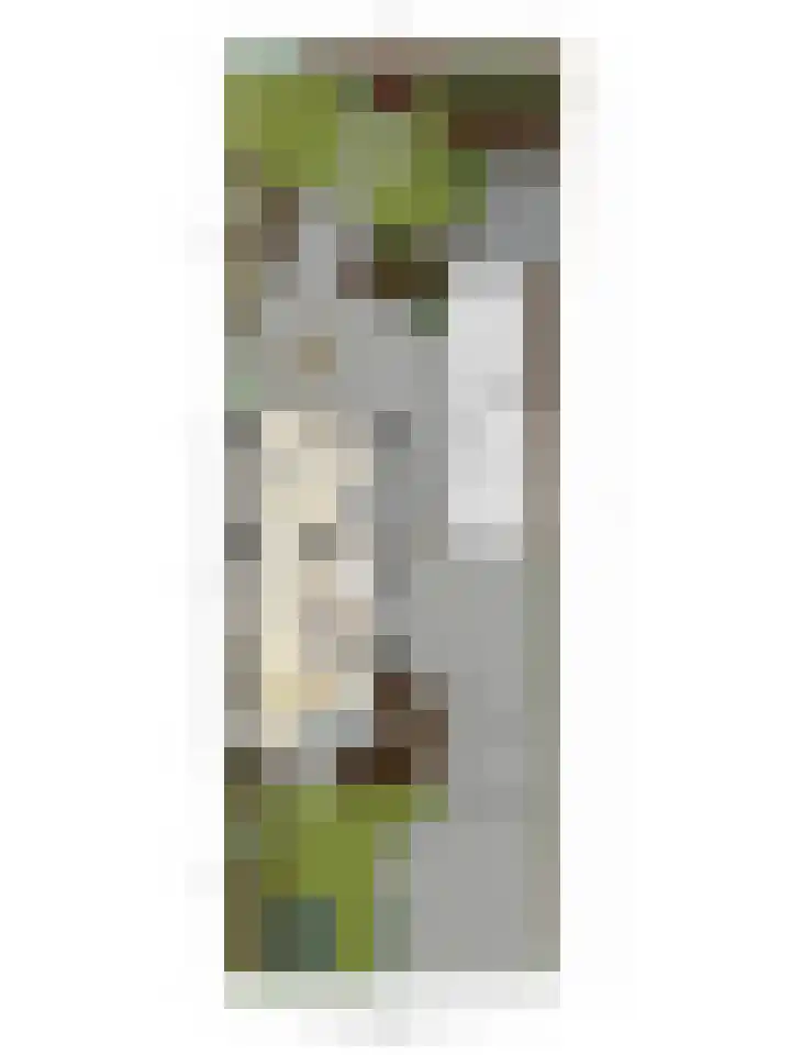 't Voorhuis 14 Veenendaal thumbnail 58