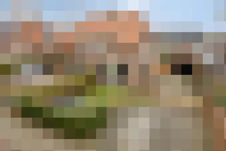 't Voorhuis 14 Veenendaal thumbnail 6