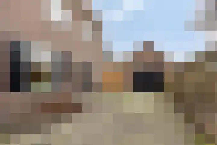 't Voorhuis 14 Veenendaal thumbnail 8