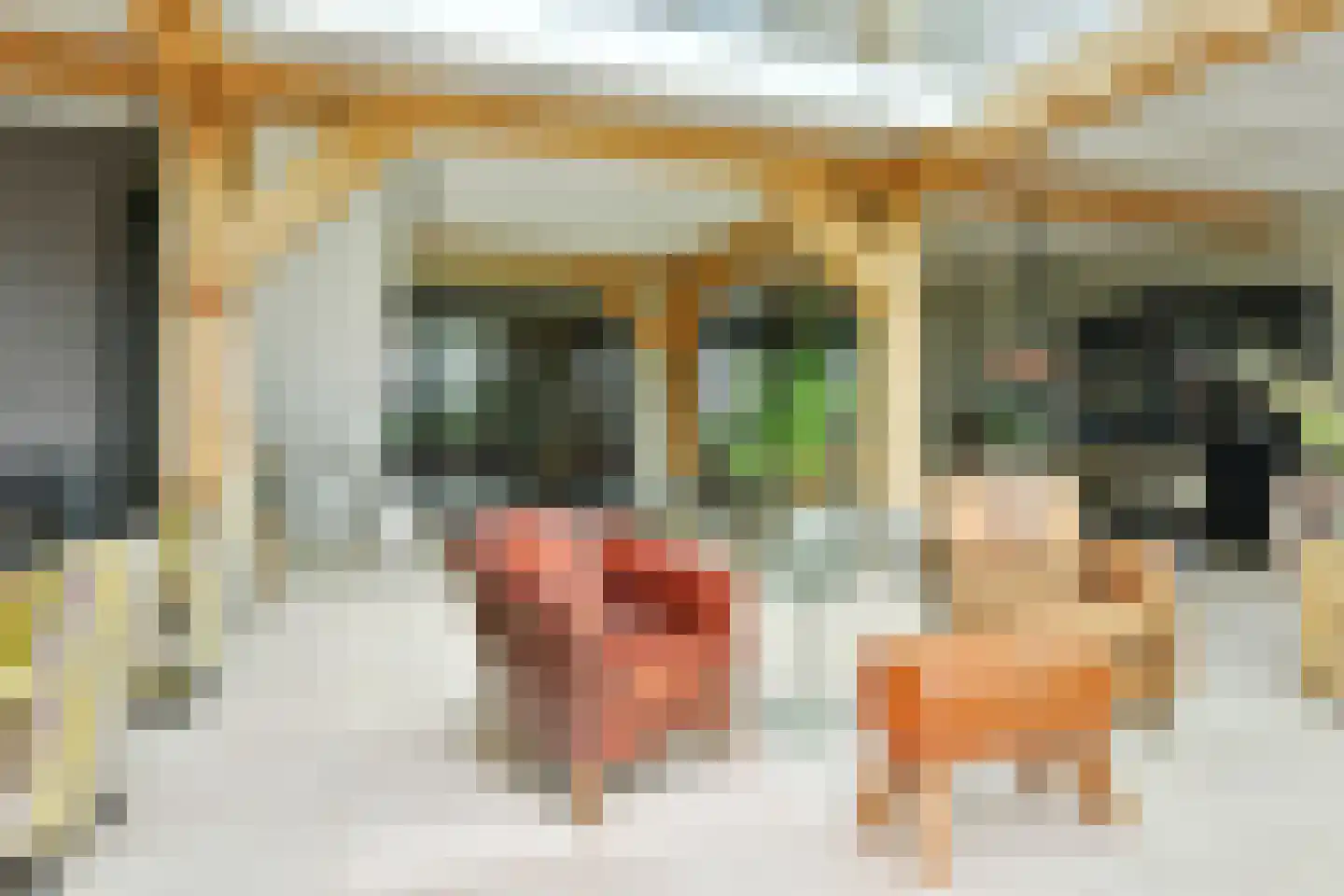 't Voorwerf 2 C Amsterdam thumbnail 12