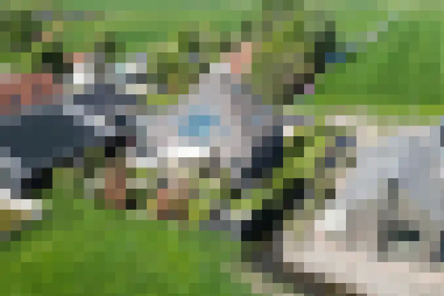 't Voorwerf 2 C Amsterdam thumbnail 19