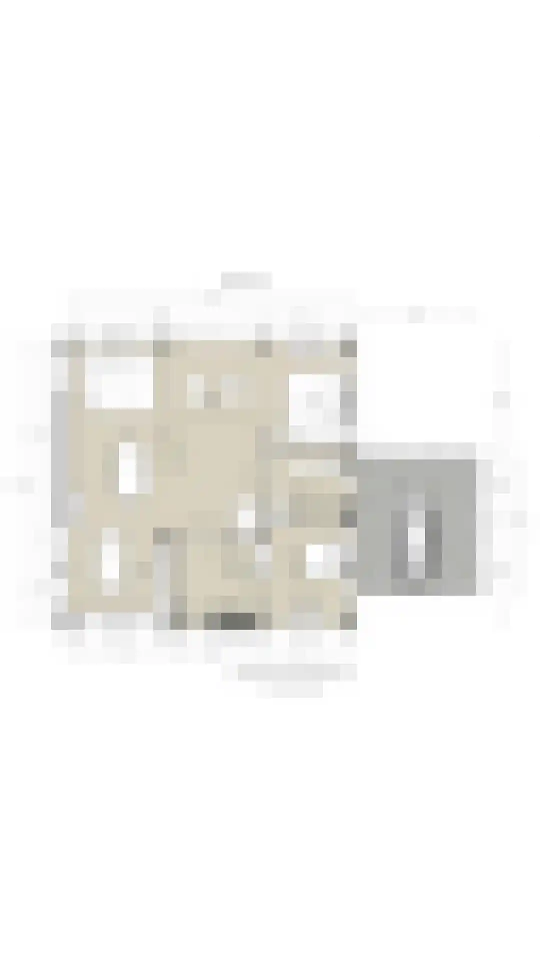 't Voorwerf 2 C Amsterdam thumbnail 25