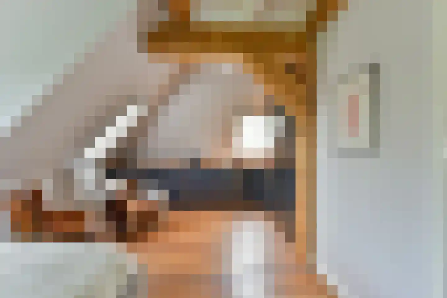 't Voorwerf 2 C Amsterdam thumbnail 27
