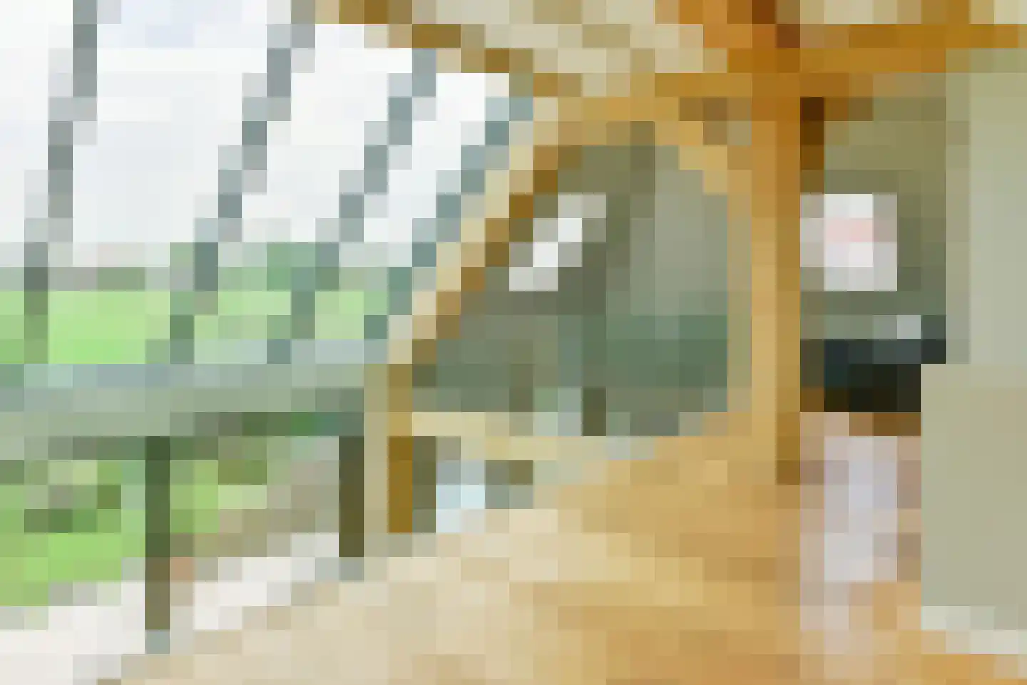't Voorwerf 2 C Amsterdam thumbnail 32