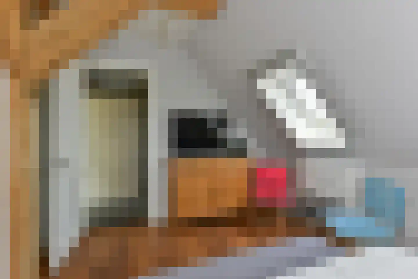 't Voorwerf 2 C Amsterdam thumbnail 35