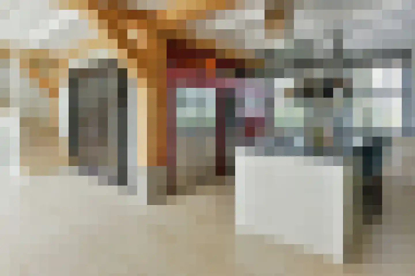 't Voorwerf 2 C Amsterdam thumbnail 4