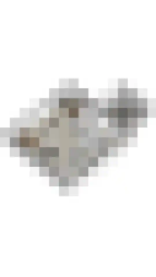 't Voorwerf 2 C Amsterdam thumbnail 46