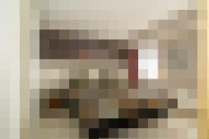 't Vóres 7 Hoogwoud thumbnail 18