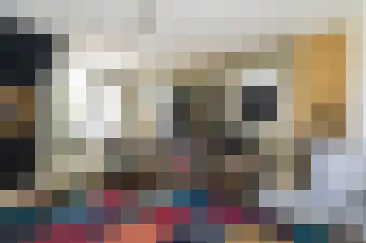 't Vóres 7 Hoogwoud thumbnail 21