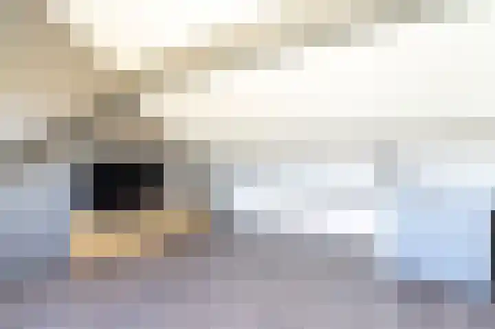't Vóres 7 Hoogwoud thumbnail 29