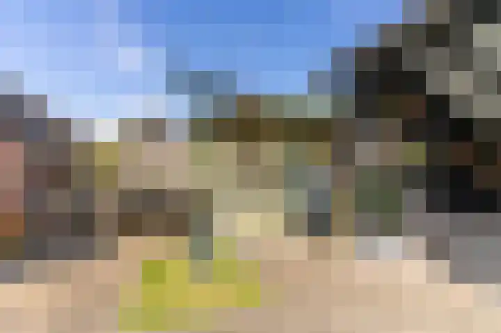 't Vóres 7 Hoogwoud thumbnail 32