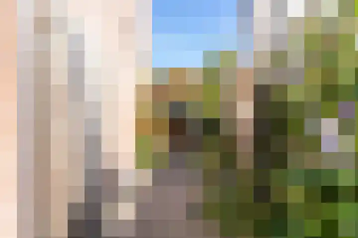 't Vóres 7 Hoogwoud thumbnail 37