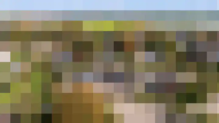 't Vóres 7 Hoogwoud thumbnail 42