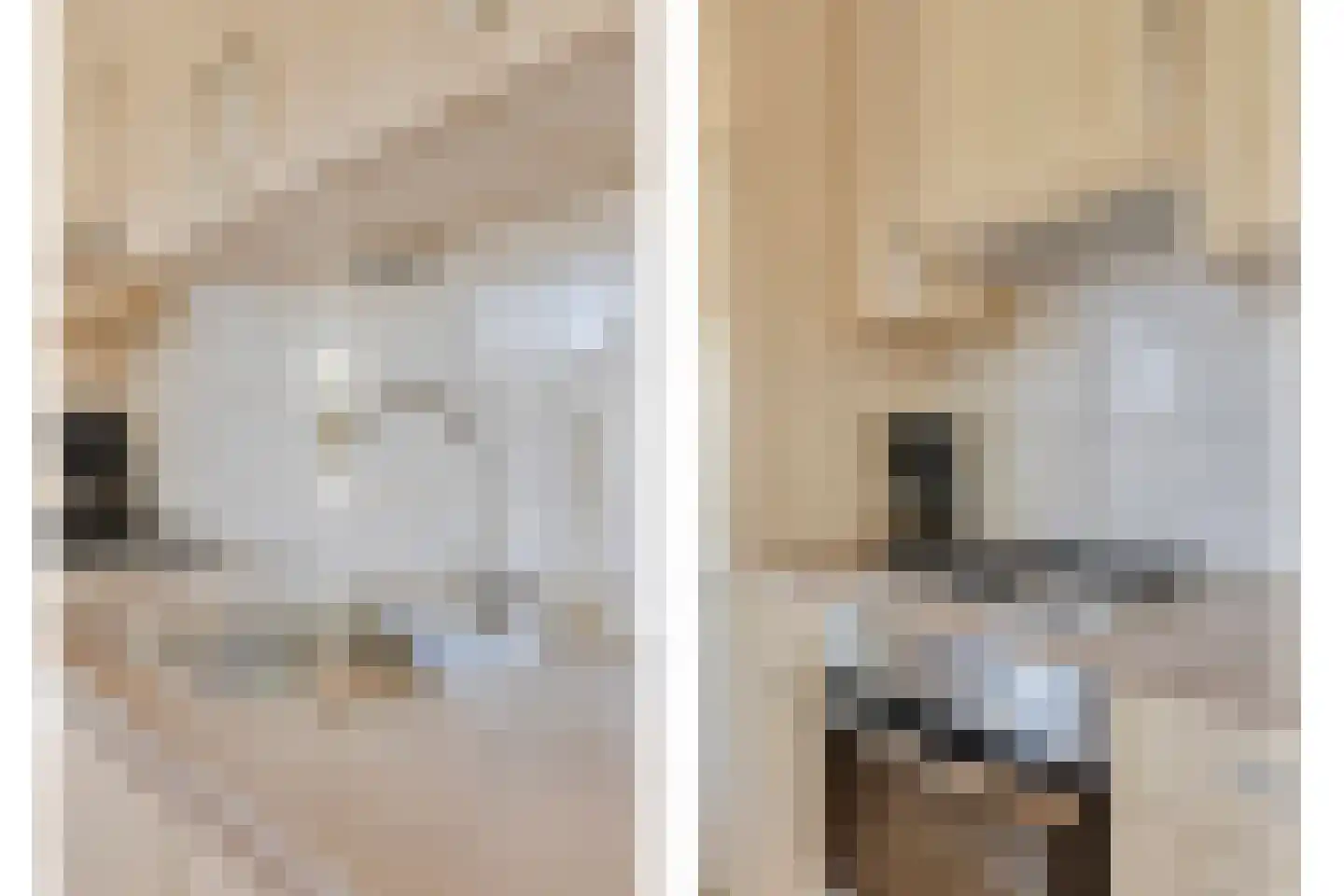 't Vunderke 1 Moergestel thumbnail 11