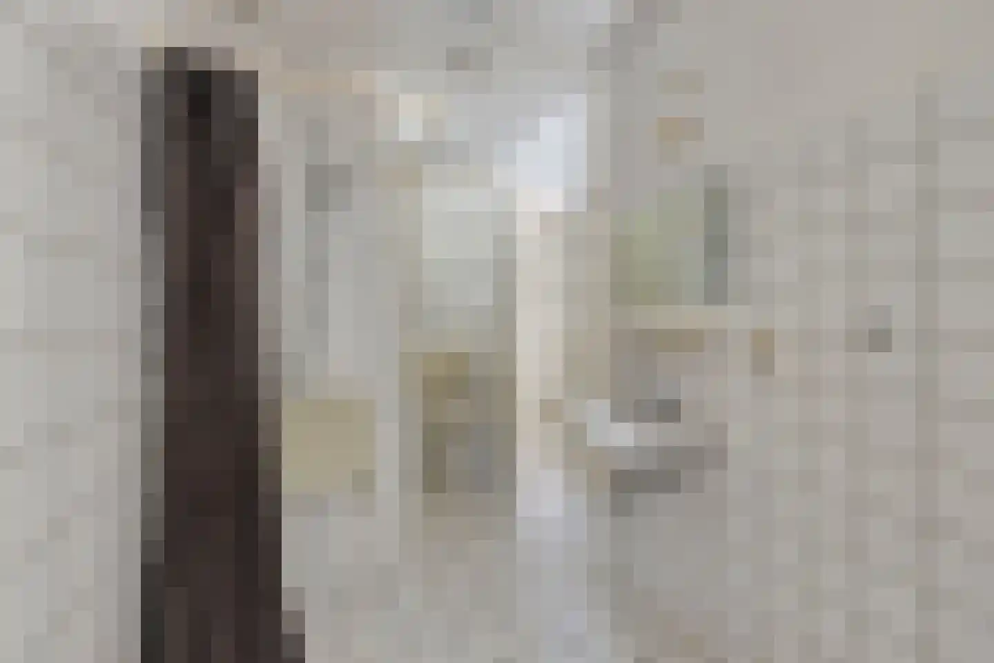't Vunderke 1 Moergestel thumbnail 18