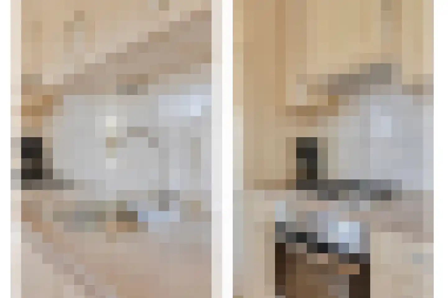 't Vunderke 1 Moergestel thumbnail 8