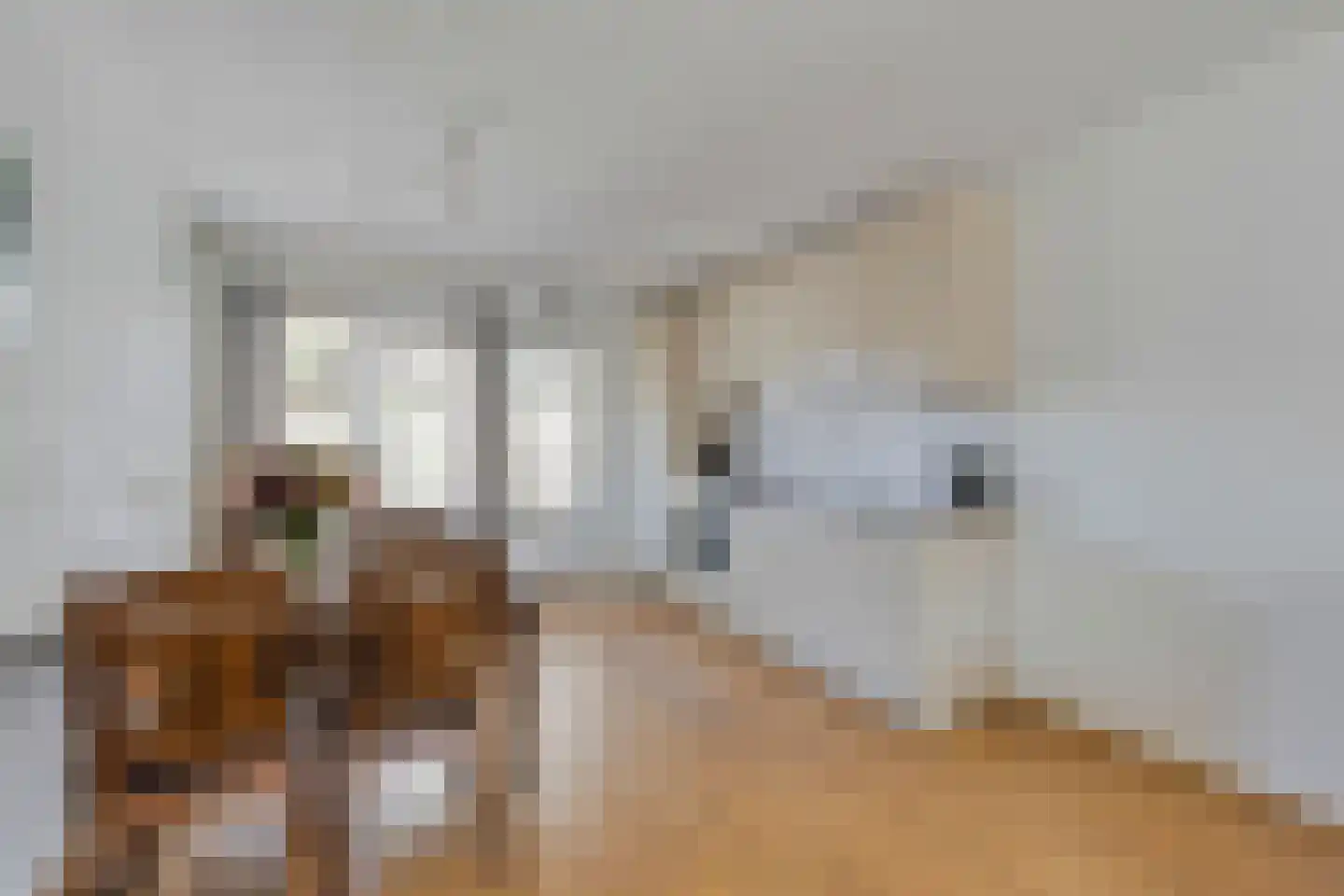 't Vunderke 1 Moergestel thumbnail 9
