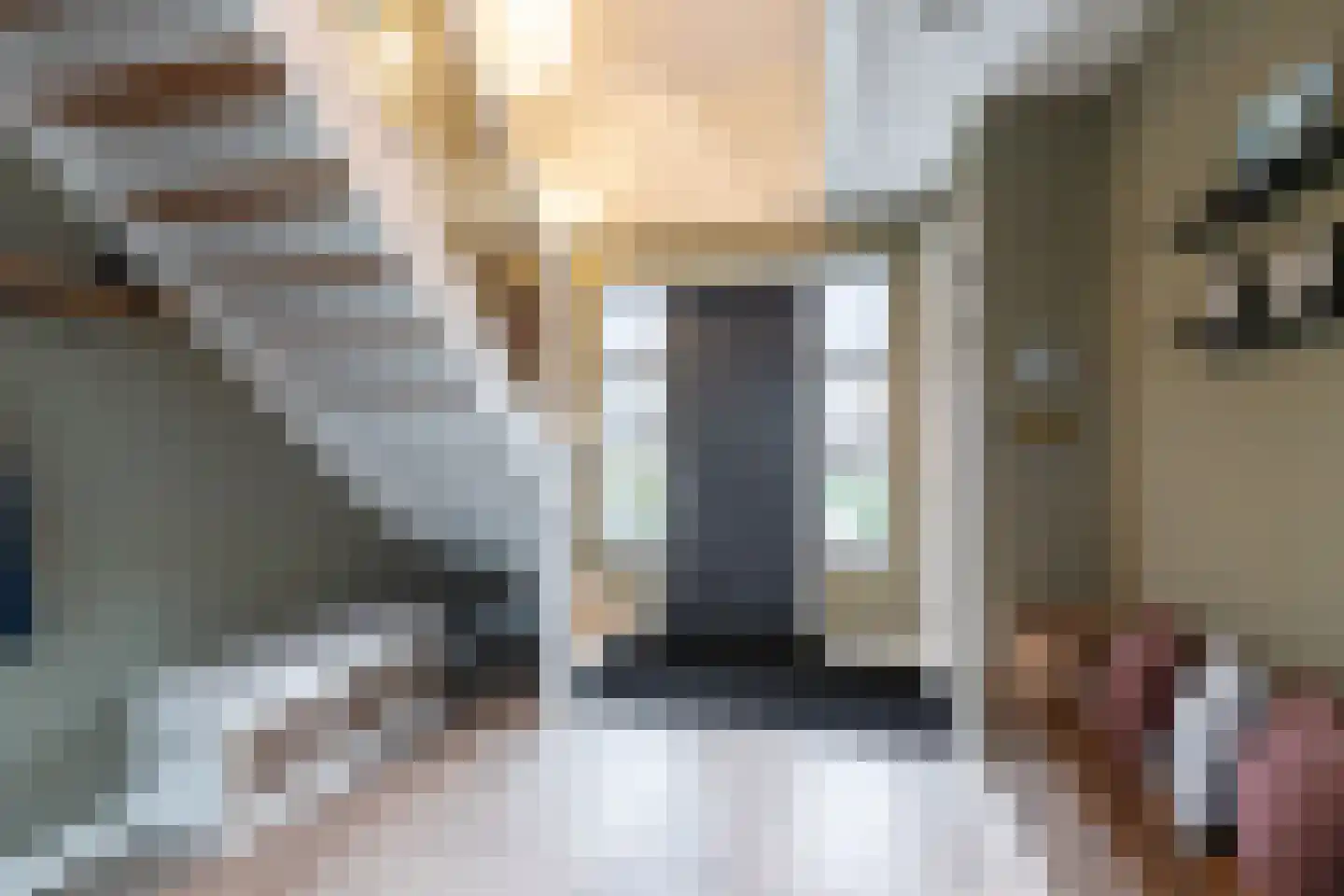 't Waaltje 1 Papendrecht thumbnail 11