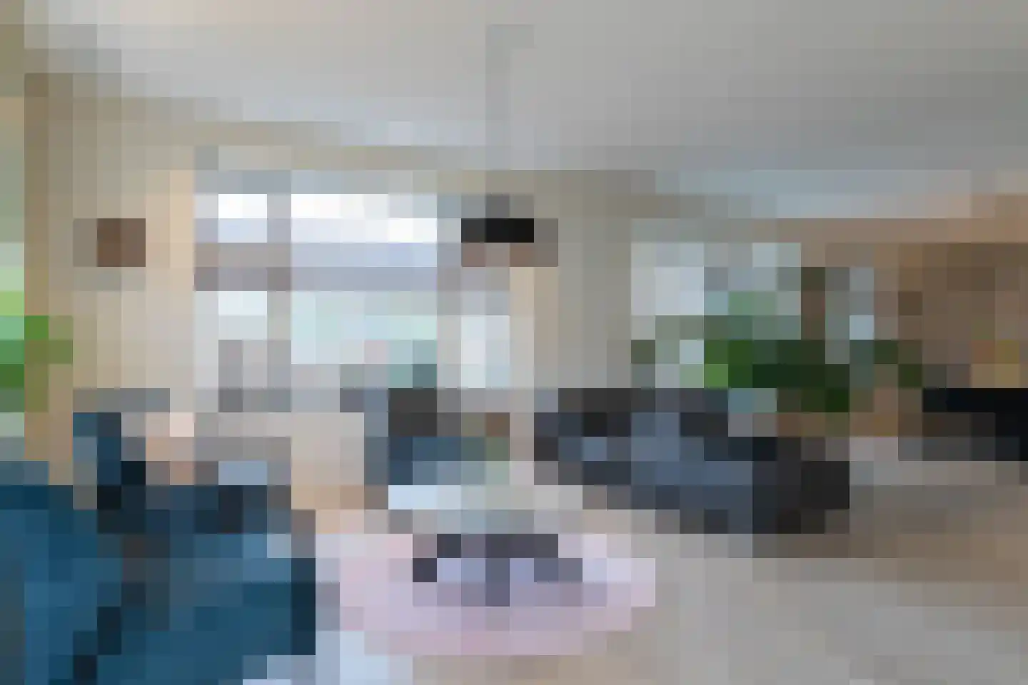 't Waaltje 1 Papendrecht thumbnail 16