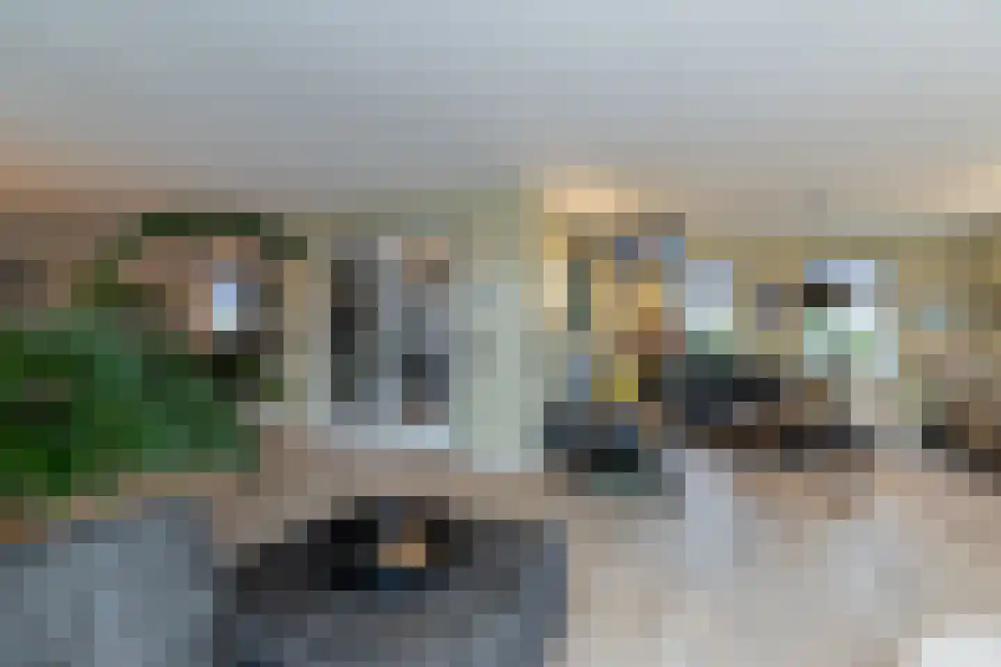 't Waaltje 1 Papendrecht thumbnail 21