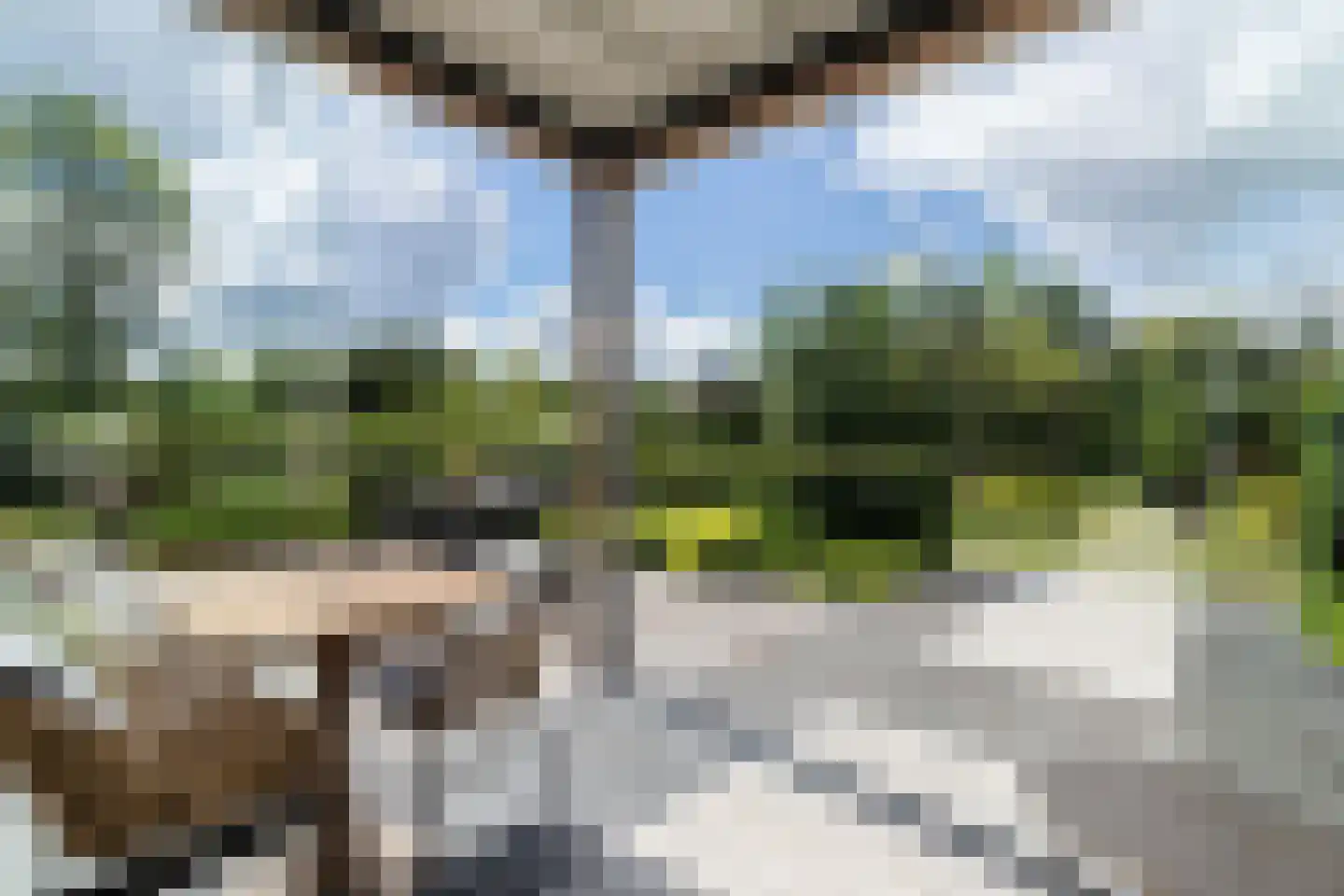 't Waaltje 1 Papendrecht thumbnail 26