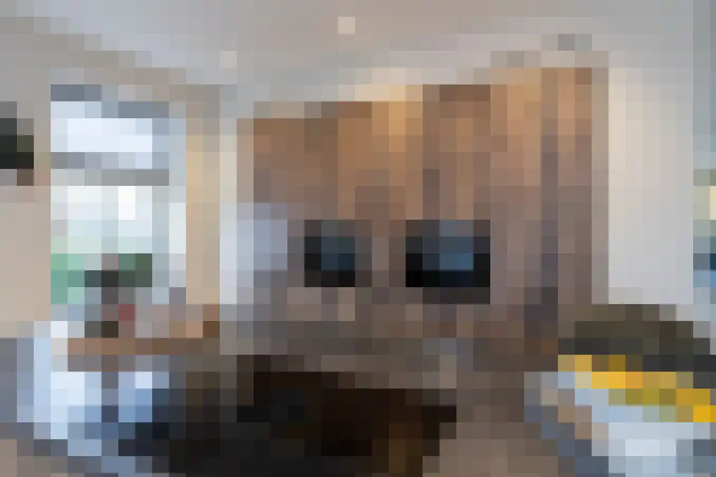 't Waaltje 1 Papendrecht thumbnail 30
