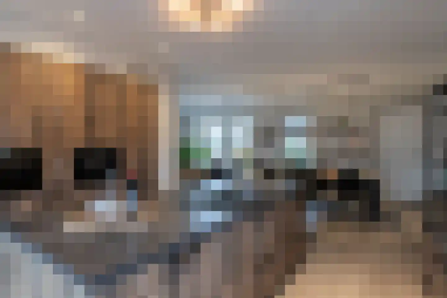 't Waaltje 1 Papendrecht thumbnail 31