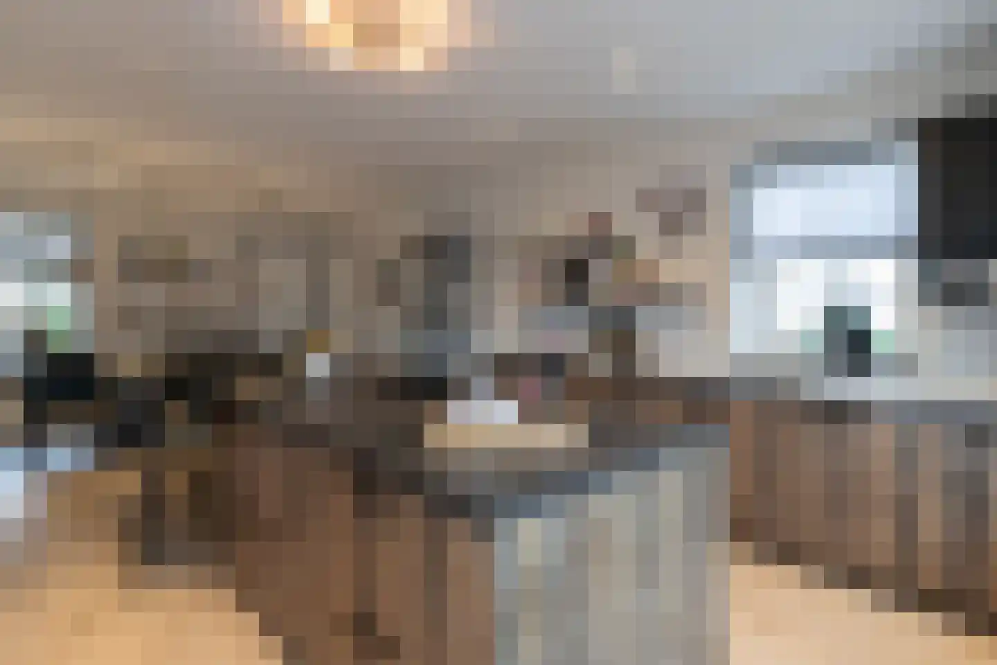 't Waaltje 1 Papendrecht thumbnail 32