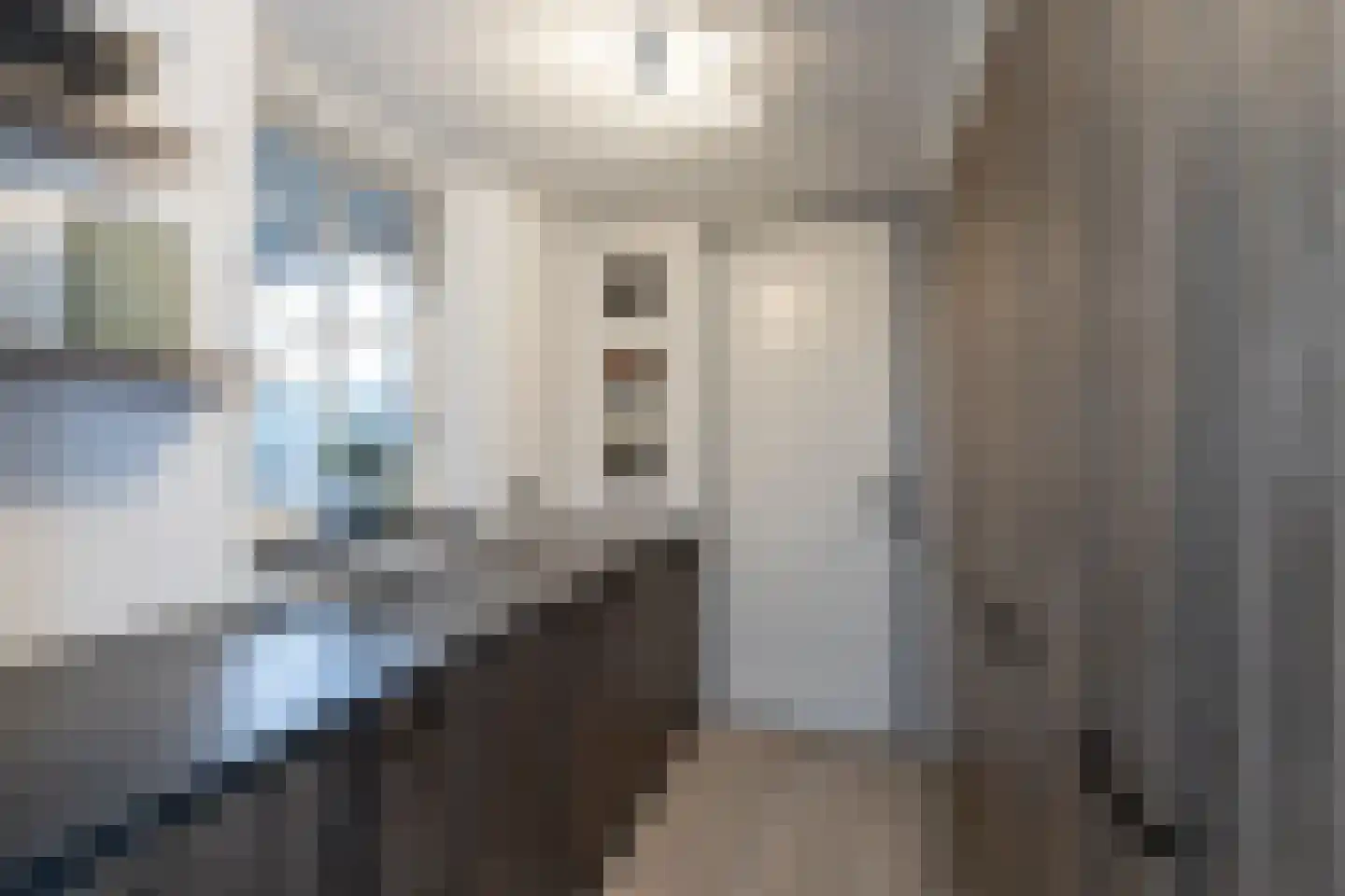 't Waaltje 1 Papendrecht thumbnail 33