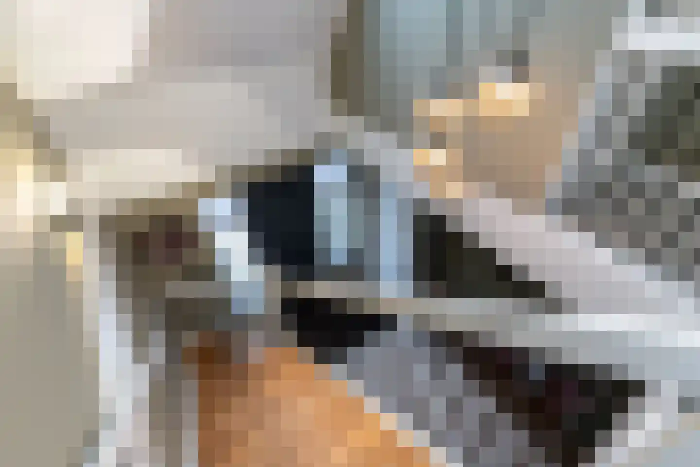't Waaltje 1 Papendrecht thumbnail 36