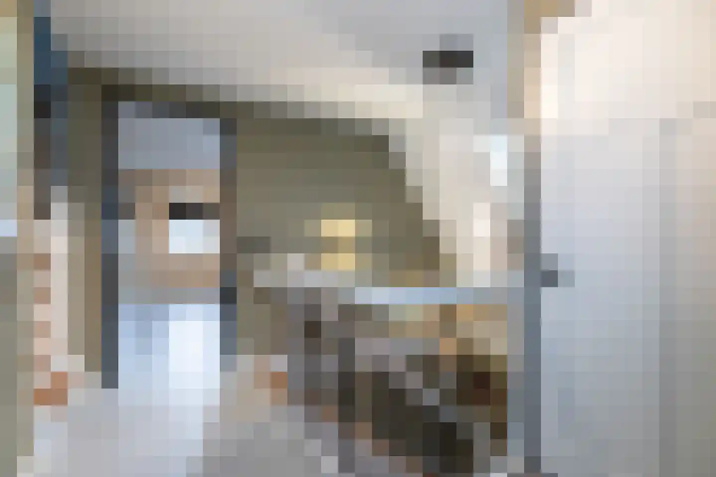 't Waaltje 1 Papendrecht thumbnail 41