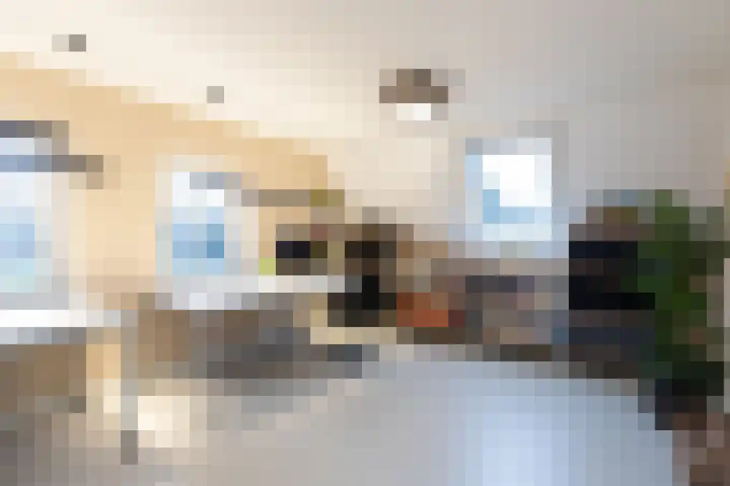 't Waaltje 1 Papendrecht thumbnail 43