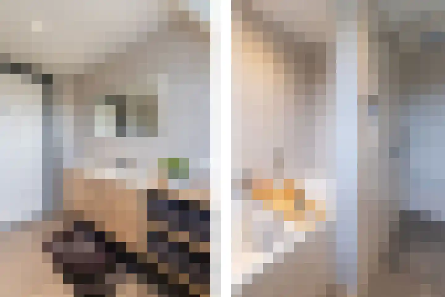 't Waaltje 1 Papendrecht thumbnail 46