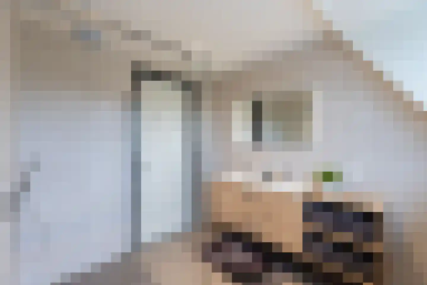 't Waaltje 1 Papendrecht thumbnail 48