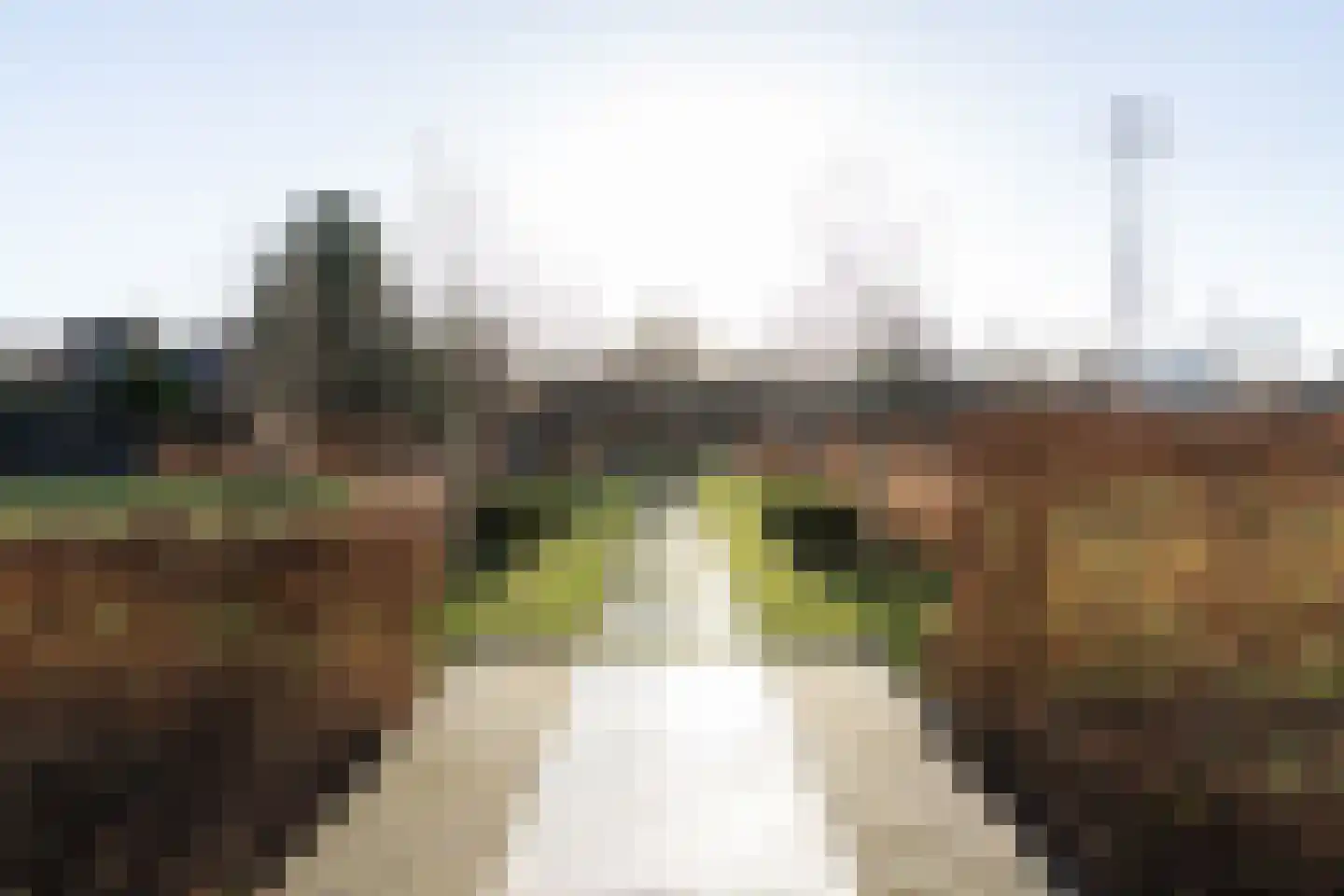 't Waaltje 1 Papendrecht thumbnail 49
