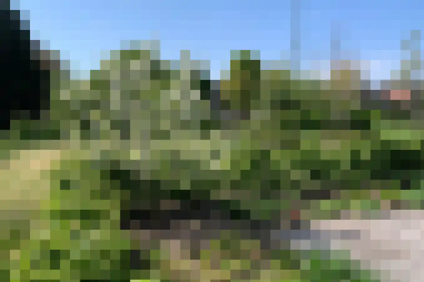 't Waaltje 1 Papendrecht thumbnail 51