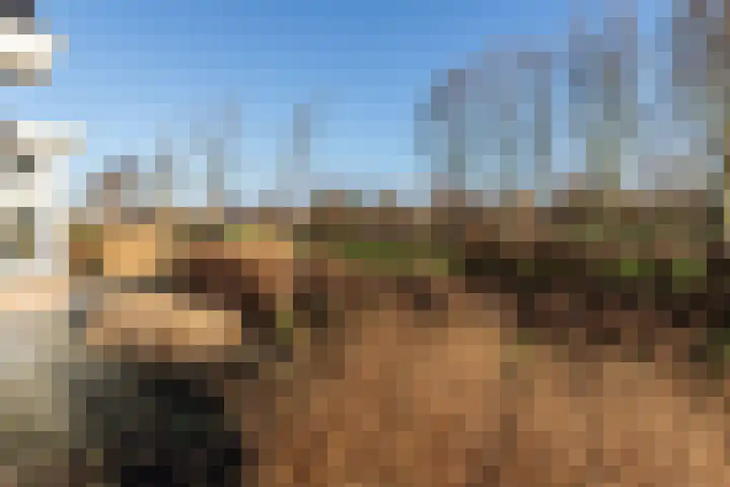 't Waaltje 1 Papendrecht thumbnail 53
