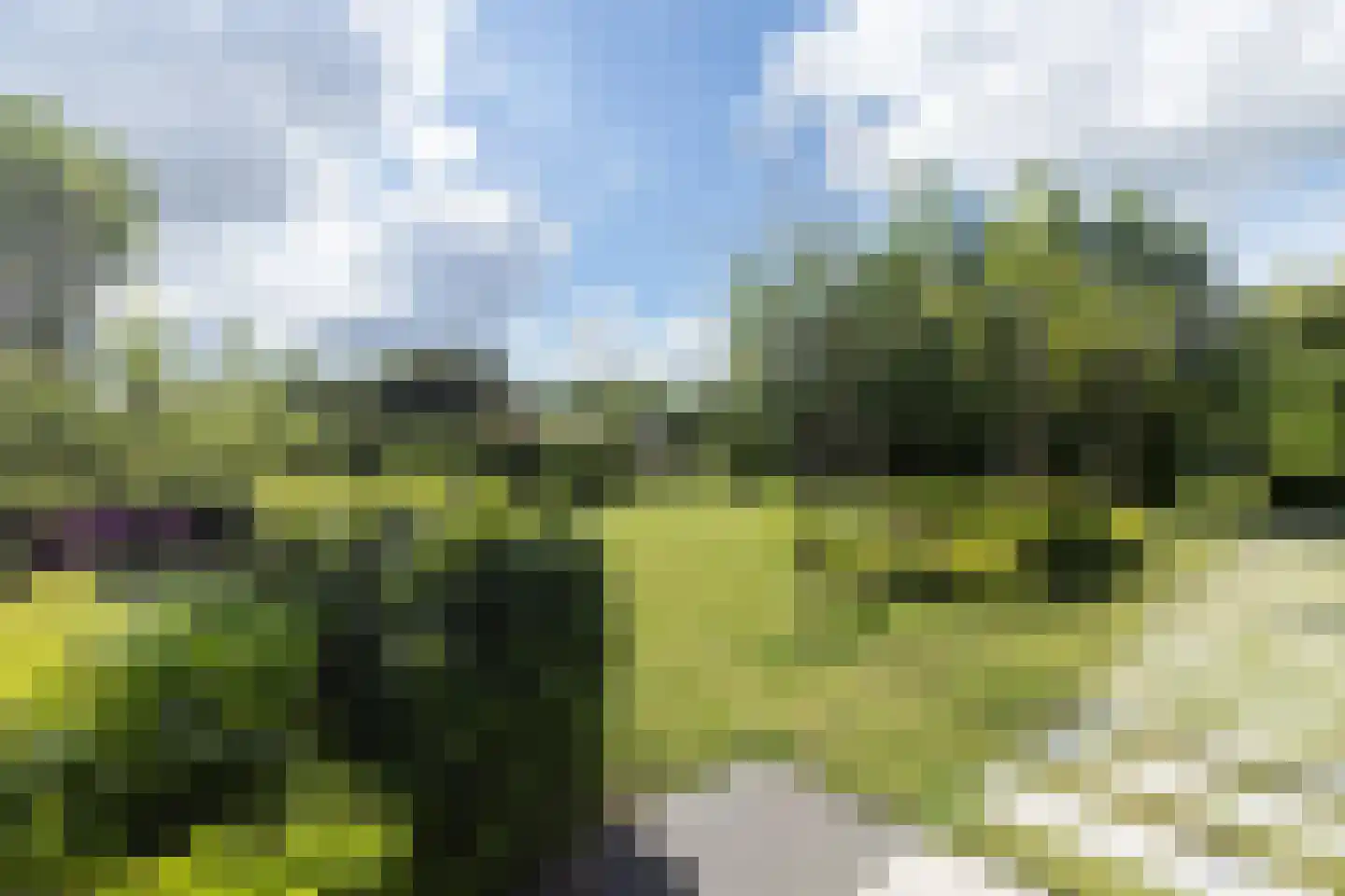 't Waaltje 1 Papendrecht thumbnail 56
