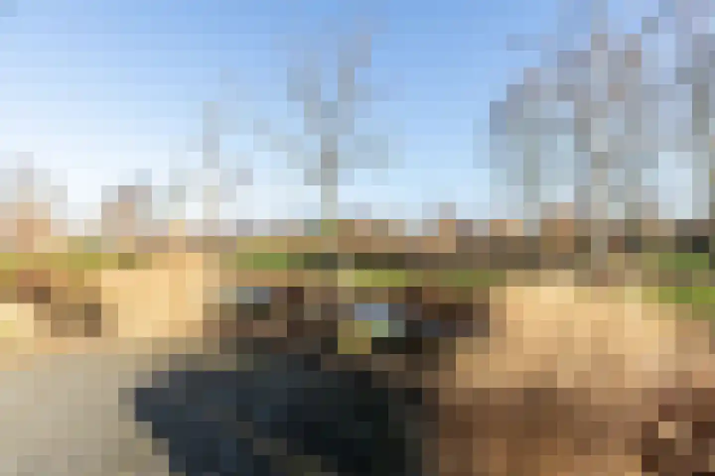 't Waaltje 1 Papendrecht thumbnail 56