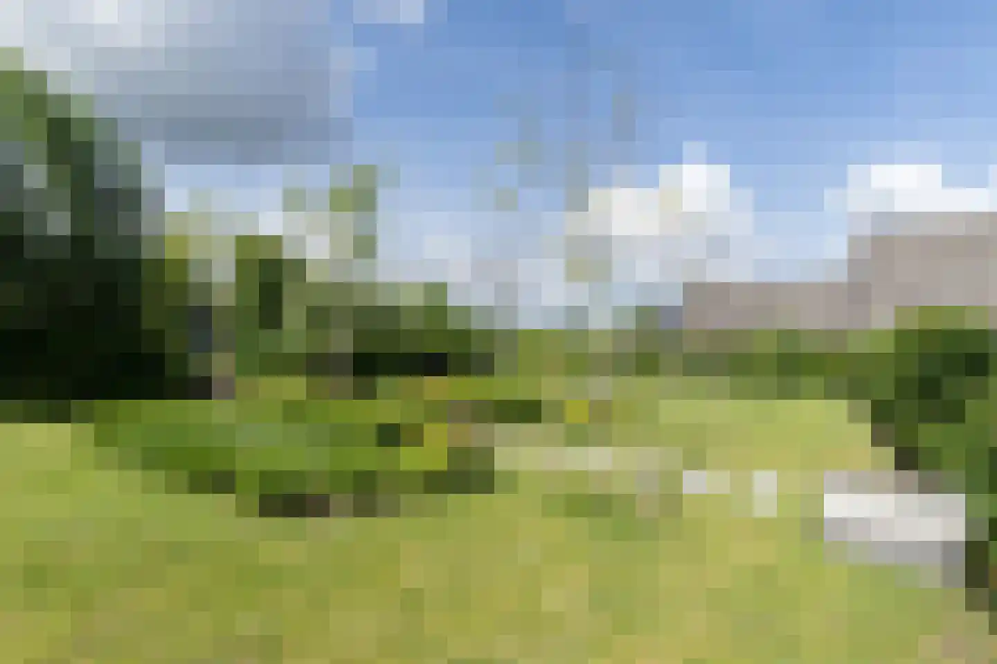 't Waaltje 1 Papendrecht thumbnail 57