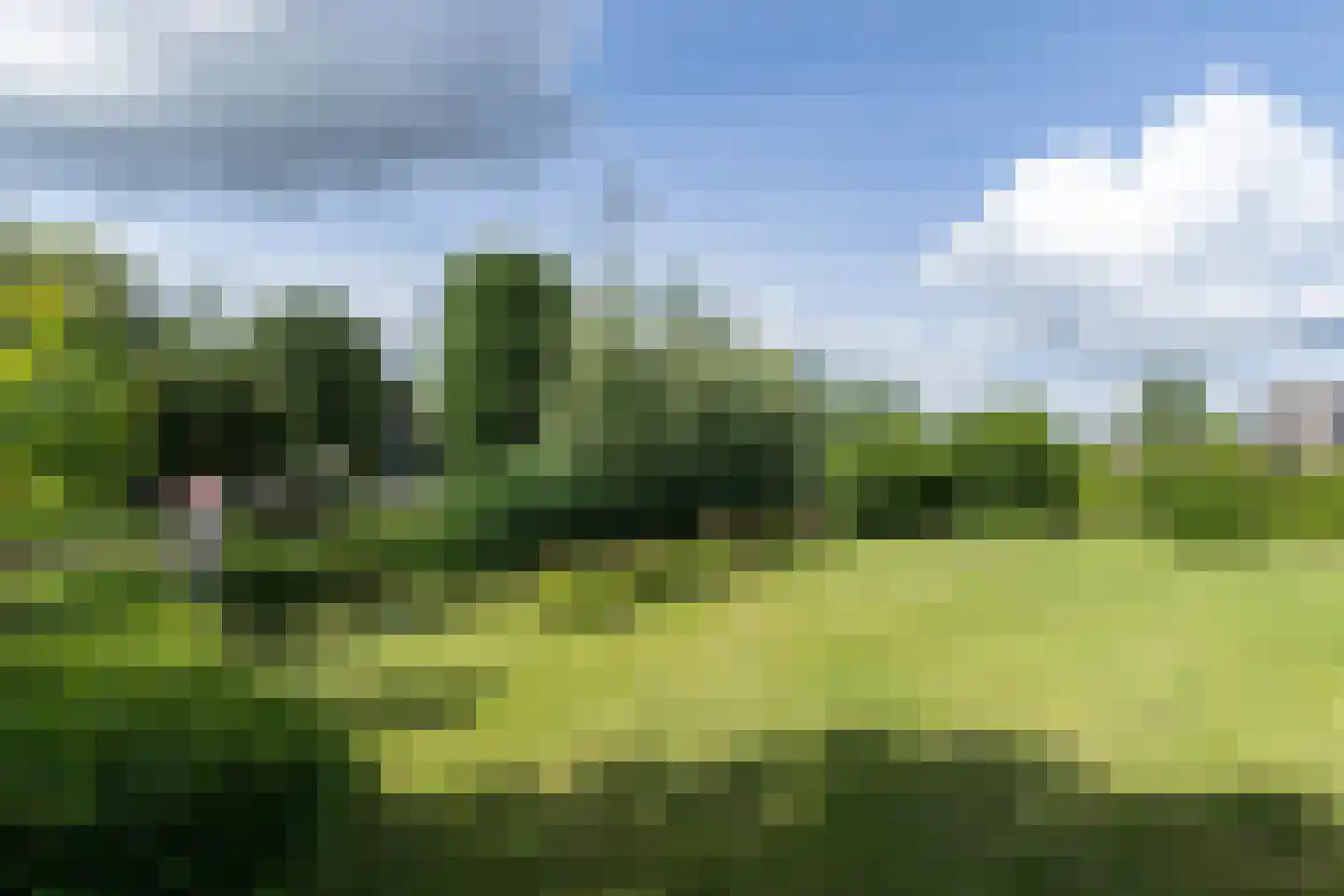 't Waaltje 1 Papendrecht thumbnail 59
