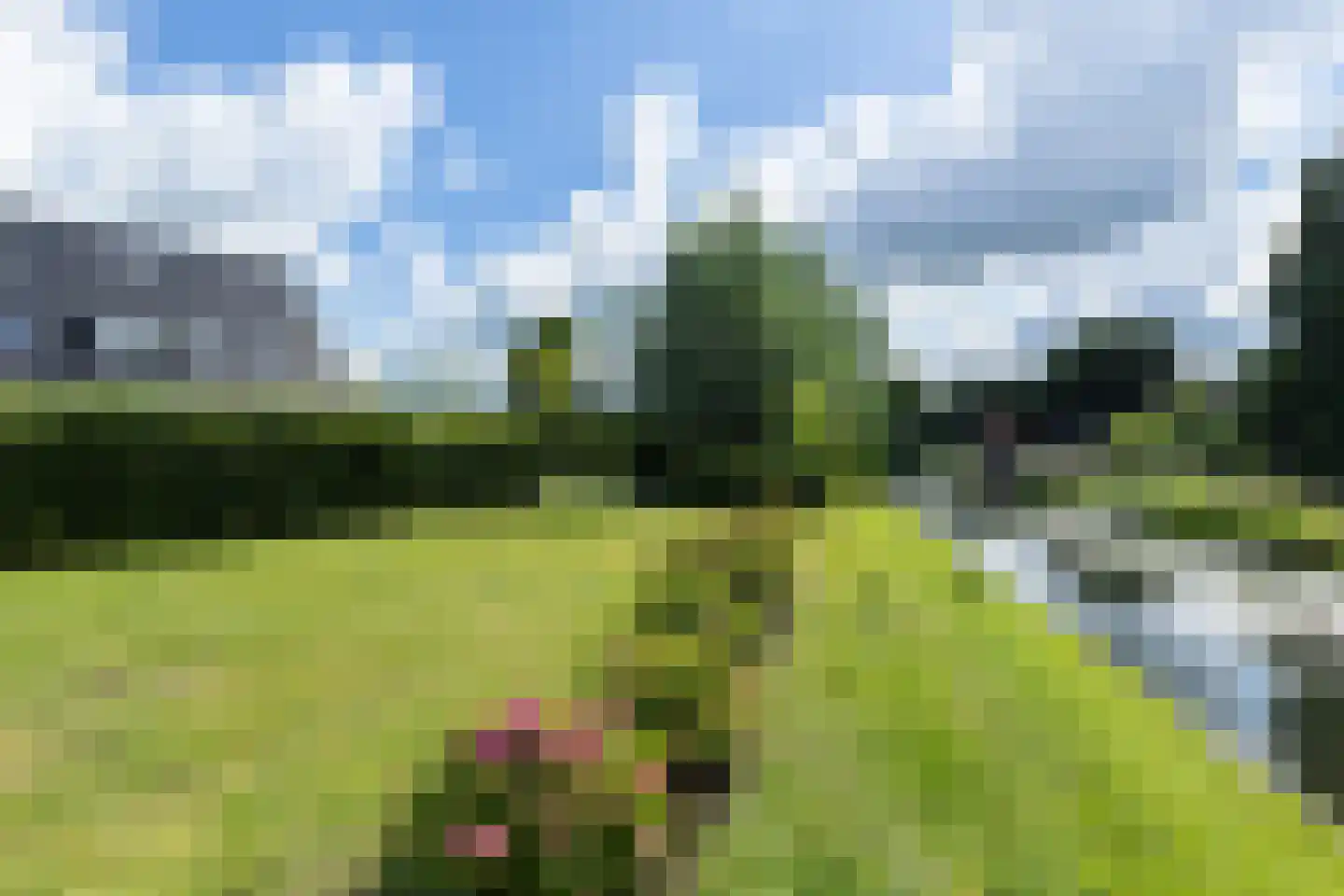 't Waaltje 1 Papendrecht thumbnail 60