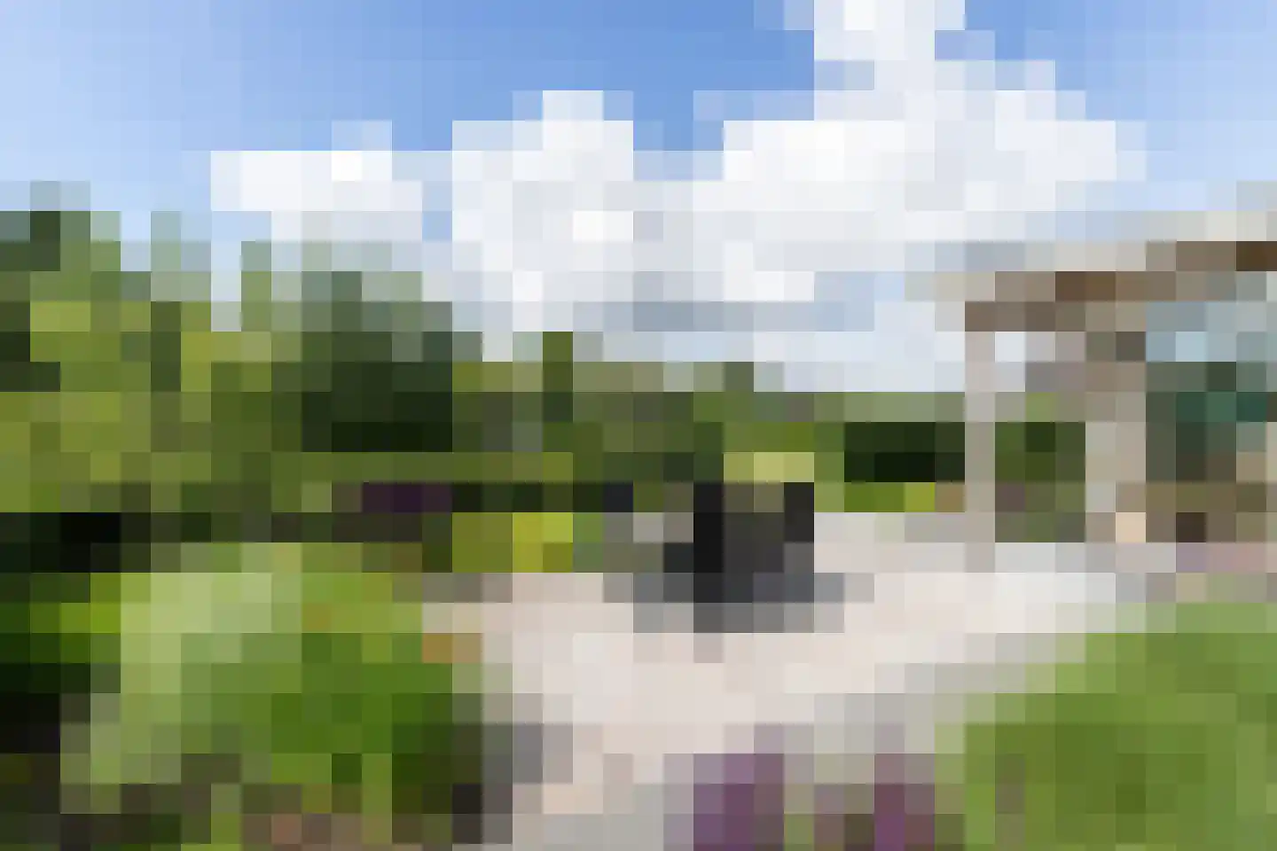 't Waaltje 1 Papendrecht thumbnail 63