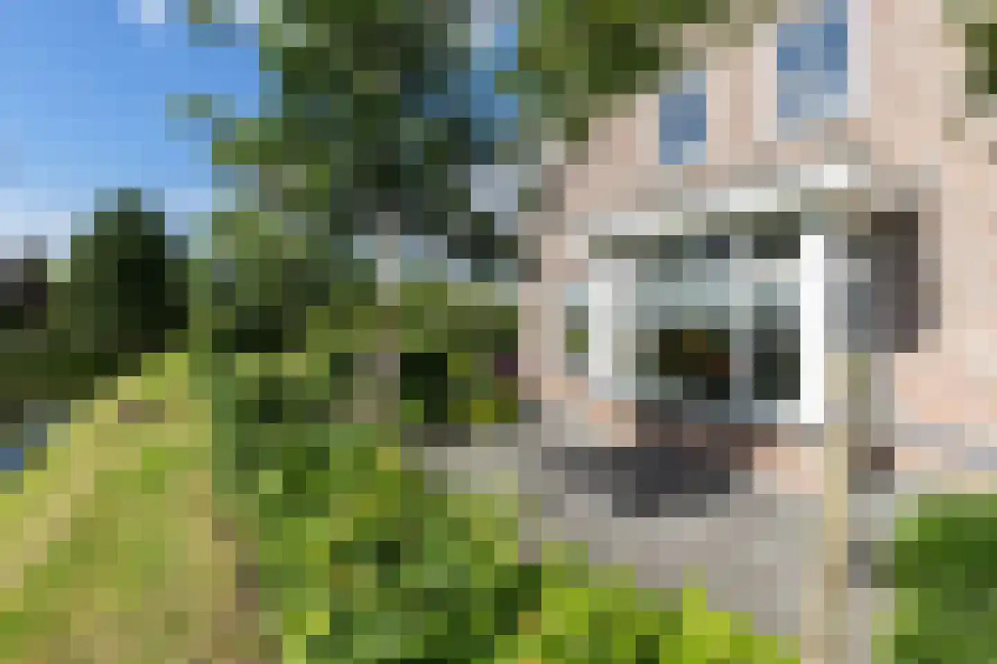 't Waaltje 1 Papendrecht thumbnail 69